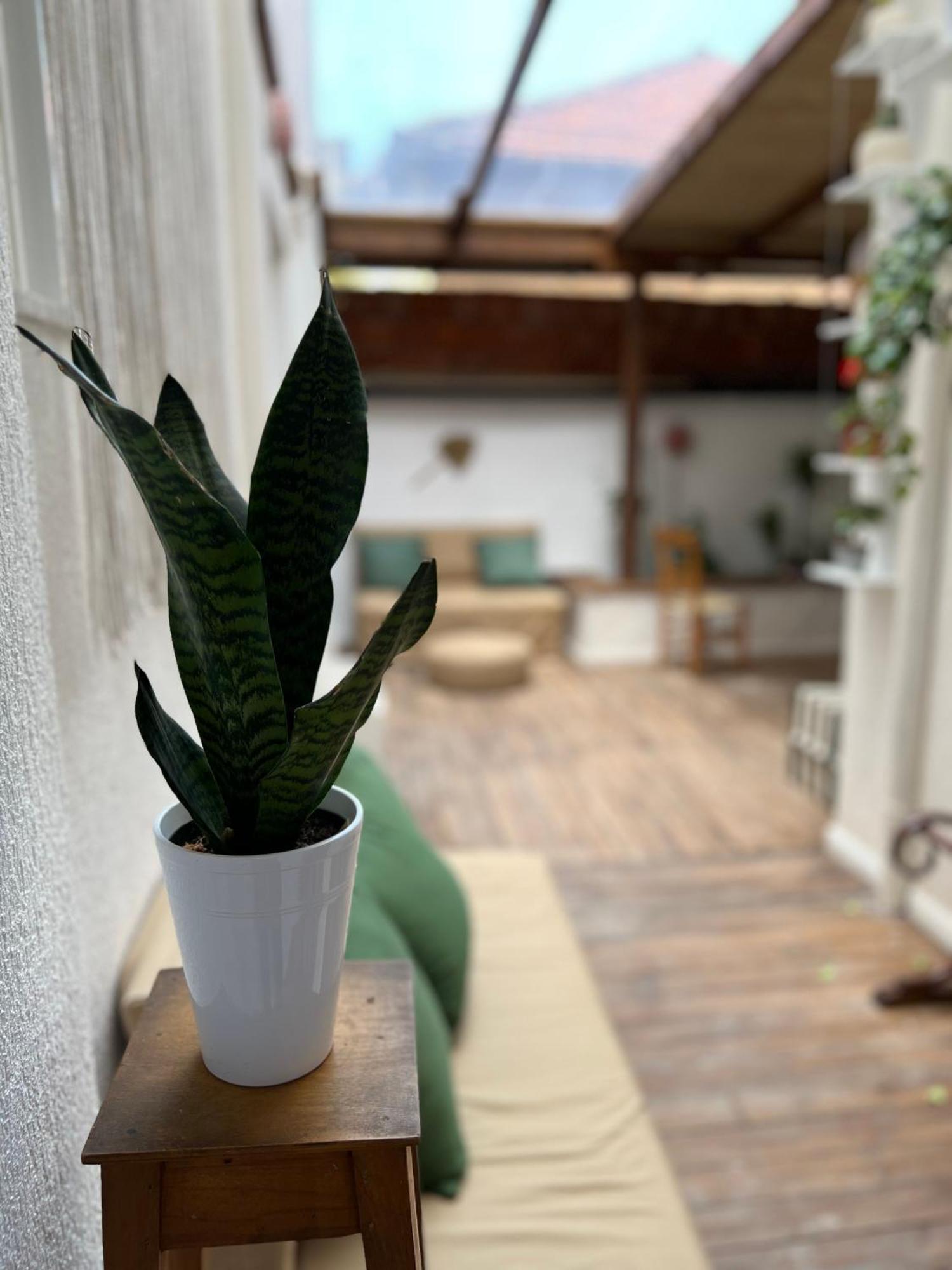 Trip'N'Hostel Chill Zone Τίρανα Εξωτερικό φωτογραφία